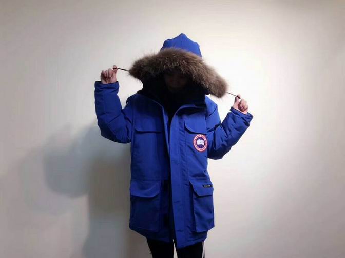 canada goose-023
